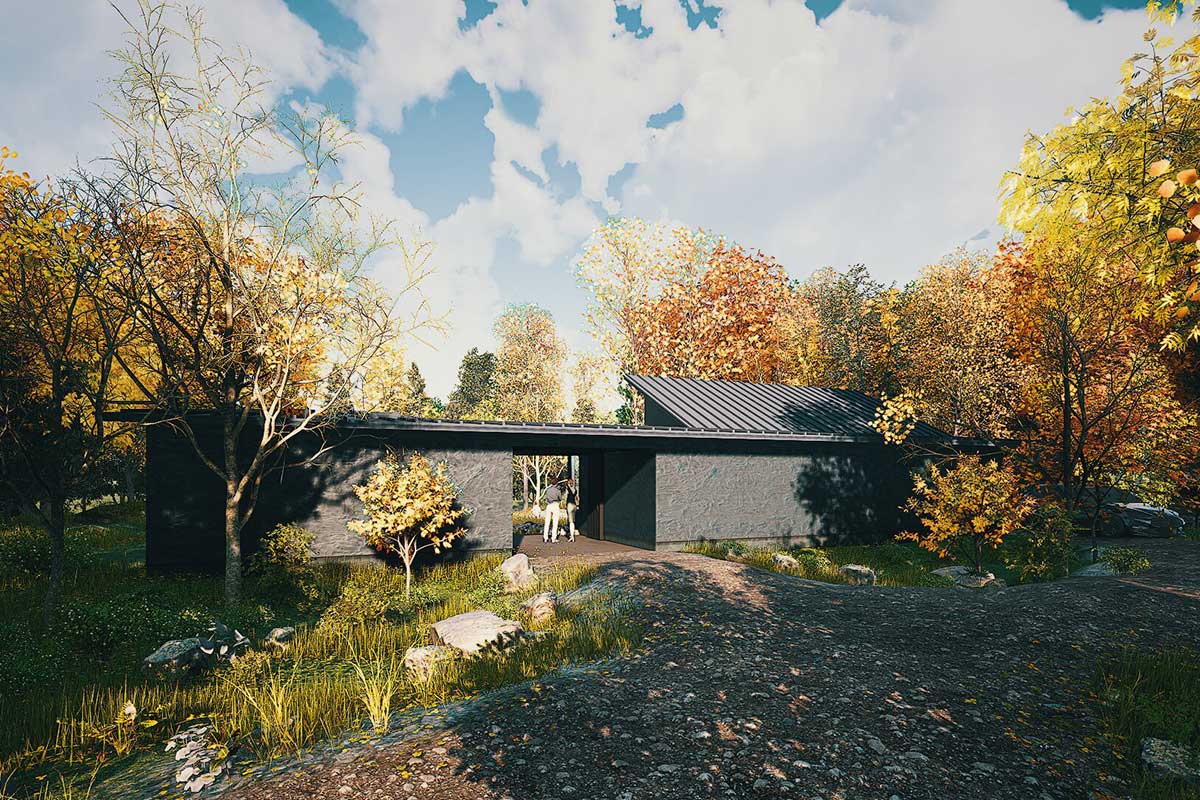 森の巣まい。Ⅱ-移住という選択-